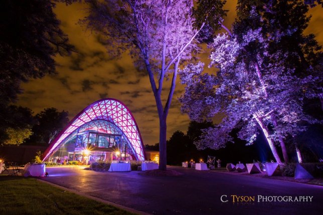 549074_340607489352428_32187082_n