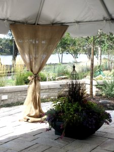 600660_425374114209098_1746035319_n