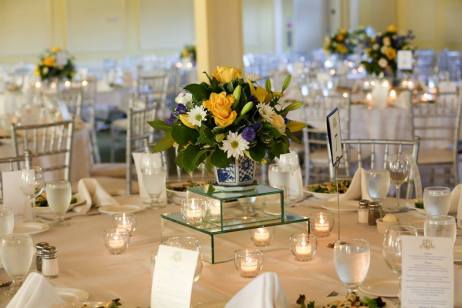 11036310_825072294239276_7565709857825452314_n